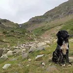 Lägenhet El Descanso Del Sol - En Pirineos *
